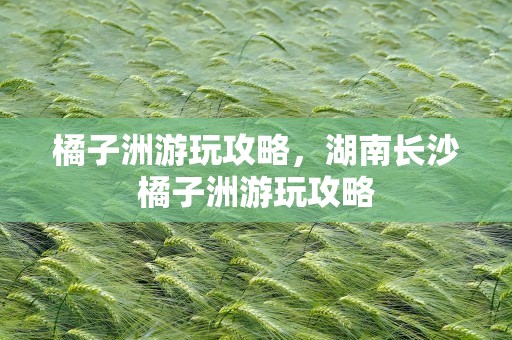 橘子洲游玩攻略，湖南长沙橘子洲游玩攻略