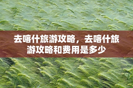 去喀什旅游攻略，去喀什旅游攻略和费用是多少