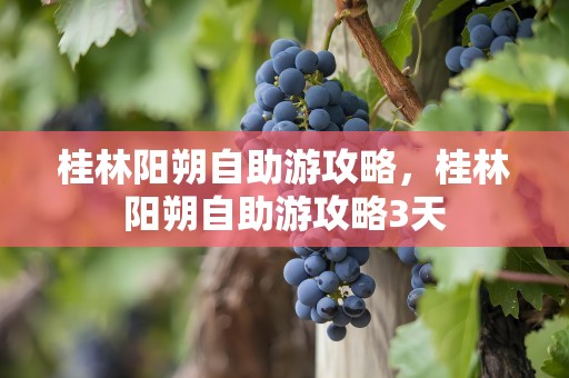 桂林阳朔自助游攻略，桂林阳朔自助游攻略3天