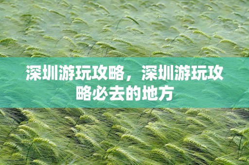 深圳游玩攻略，深圳游玩攻略必去的地方