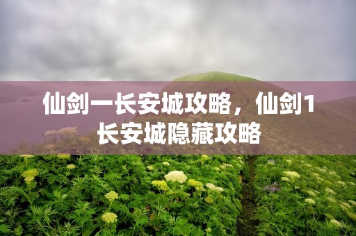 仙剑一长安城攻略，仙剑1长安城隐藏攻略