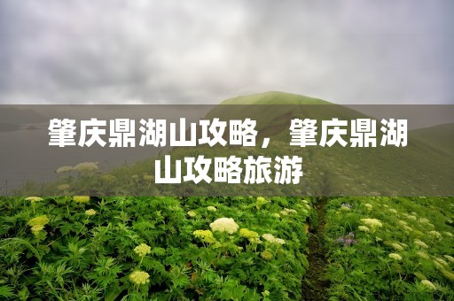 肇庆鼎湖山攻略，肇庆鼎湖山攻略旅游