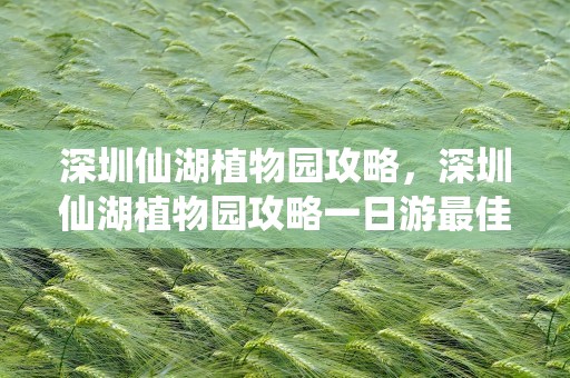 深圳仙湖植物园攻略，深圳仙湖植物园攻略一日游最佳路线