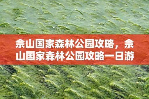 佘山国家森林公园攻略，佘山国家森林公园攻略一日游