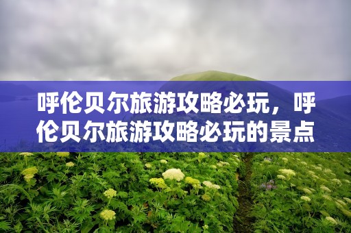 呼伦贝尔旅游攻略必玩，呼伦贝尔旅游攻略必玩的景点