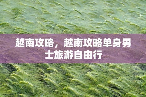 越南攻略，越南攻略单身男士旅游自由行