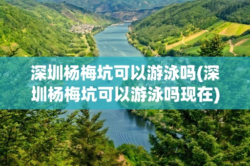 深圳杨梅坑可以游泳吗(深圳杨梅坑可以游泳吗现在)