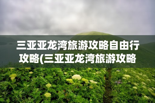 三亚亚龙湾旅游攻略自由行攻略(三亚亚龙湾旅游攻略自由行攻略大全)