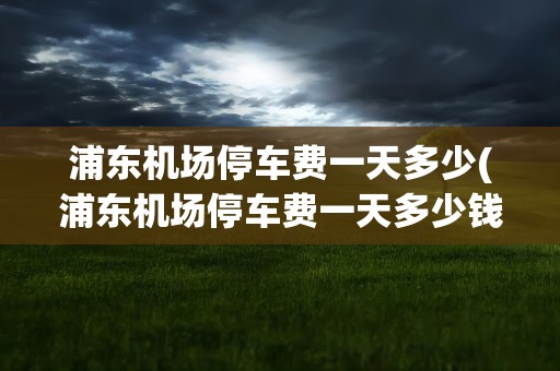 浦东机场停车费一天多少(浦东机场停车费一天多少钱)