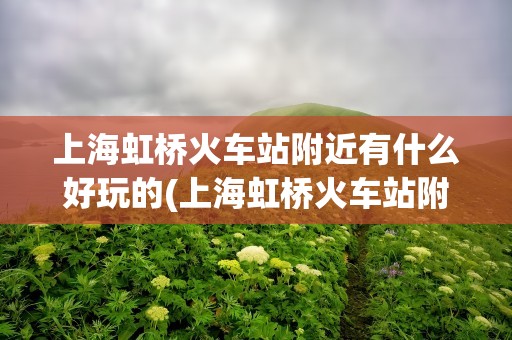 上海虹桥火车站附近有什么好玩的(上海虹桥火车站附近有什么好玩的地方)