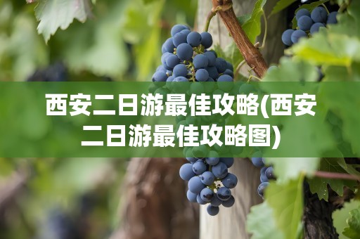 西安二日游最佳攻略(西安二日游最佳攻略图)