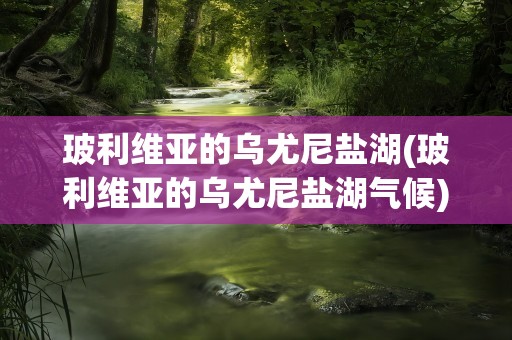 玻利维亚的乌尤尼盐湖(玻利维亚的乌尤尼盐湖气候)