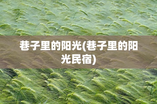 巷子里的阳光(巷子里的阳光民宿)