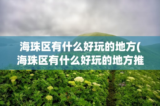 海珠区有什么好玩的地方(海珠区有什么好玩的地方推荐)