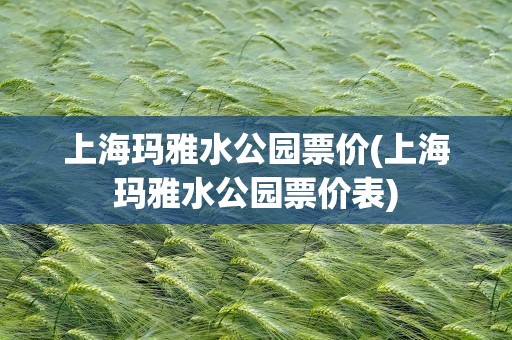 上海玛雅水公园票价(上海玛雅水公园票价表)