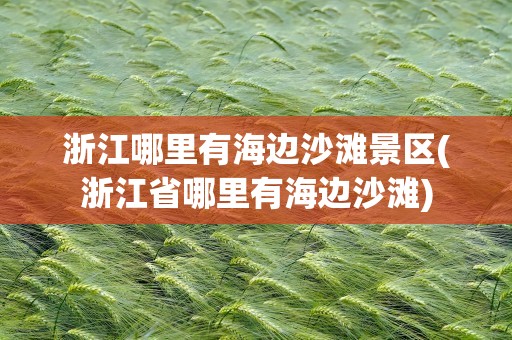 浙江哪里有海边沙滩景区(浙江省哪里有海边沙滩)