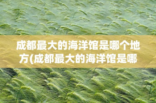 成都最大的海洋馆是哪个地方(成都最大的海洋馆是哪个地方的)