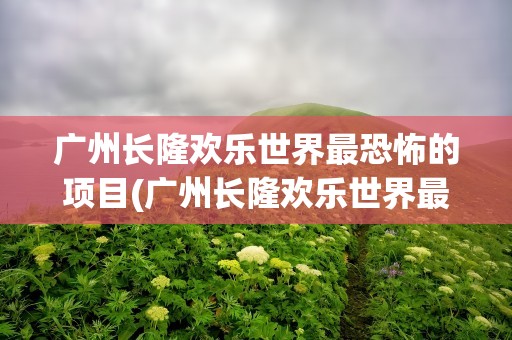 广州长隆欢乐世界最恐怖的项目(广州长隆欢乐世界最刺激的项目)