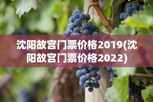 沈阳故宫门票价格2019(沈阳故宫门票价格2022)