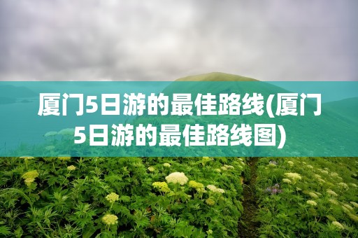 厦门5日游的最佳路线(厦门5日游的最佳路线图)