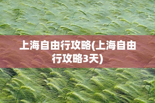 上海自由行攻略(上海自由行攻略3天)