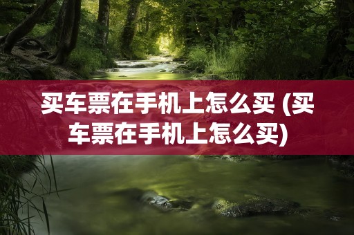 买车票在手机上怎么买 (买车票在手机上怎么买)