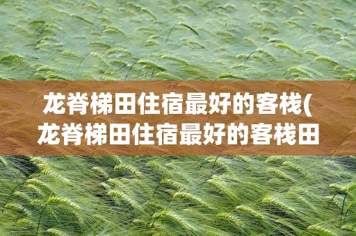 龙脊梯田住宿最好的客栈(龙脊梯田住宿最好的客栈田头寨)