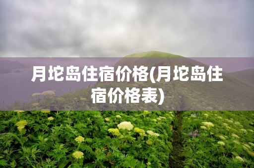 月坨岛住宿价格(月坨岛住宿价格表)