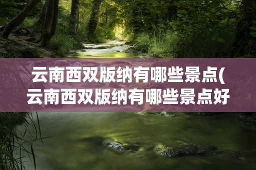 云南西双版纳有哪些景点(云南西双版纳有哪些景点好玩)