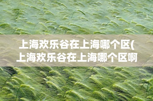 上海欢乐谷在上海哪个区(上海欢乐谷在上海哪个区啊)