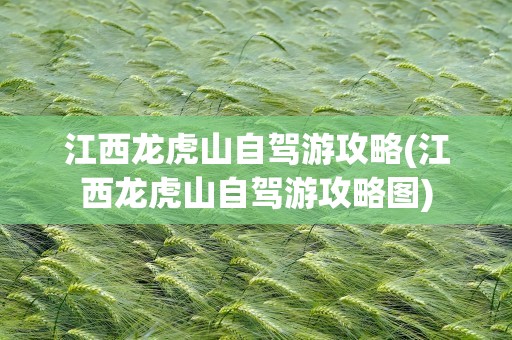 江西龙虎山自驾游攻略(江西龙虎山自驾游攻略图)