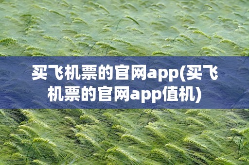 买飞机票的官网app(买飞机票的官网app值机)