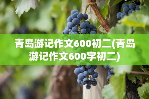 青岛游记作文600初二(青岛游记作文600字初二)