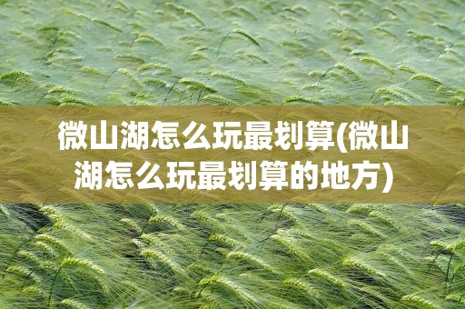 微山湖怎么玩最划算(微山湖怎么玩最划算的地方)