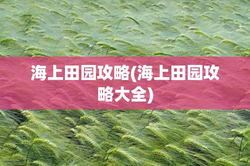 海上田园攻略(海上田园攻略大全)