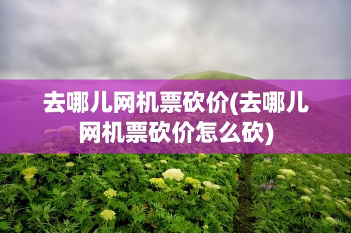 去哪儿网机票砍价(去哪儿网机票砍价怎么砍)