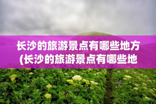 长沙的旅游景点有哪些地方(长沙的旅游景点有哪些地方作文)