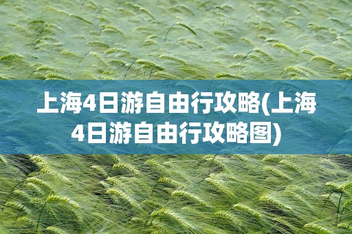 上海4日游自由行攻略(上海4日游自由行攻略图)