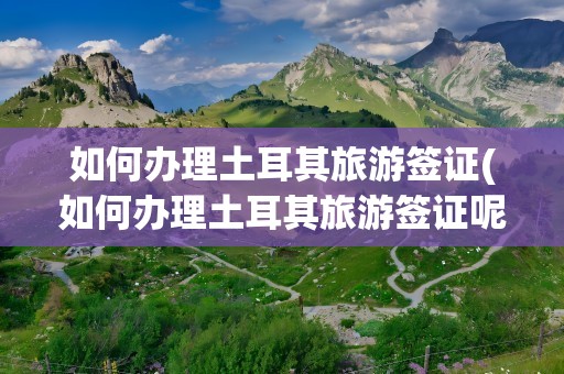 如何办理土耳其旅游签证(如何办理土耳其旅游签证呢)