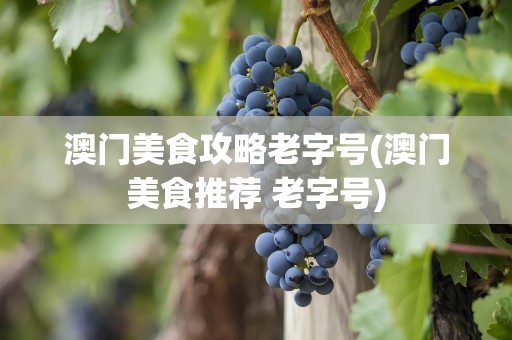 澳门美食攻略老字号(澳门美食推荐 老字号)