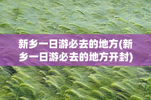 新乡一日游必去的地方(新乡一日游必去的地方开封)