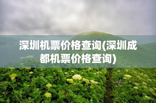 深圳机票价格查询(深圳成都机票价格查询)