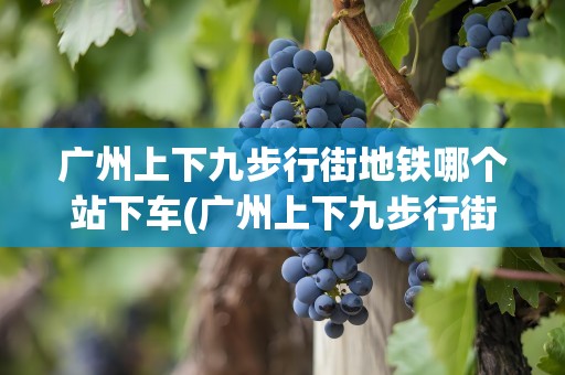 广州上下九步行街地铁哪个站下车(广州上下九步行街地铁哪个站下车方便)