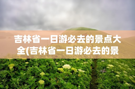 吉林省一日游必去的景点大全(吉林省一日游必去的景点大全图片)