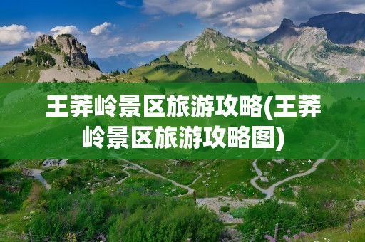 王莽岭景区旅游攻略(王莽岭景区旅游攻略图)