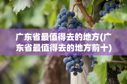 广东省最值得去的地方(广东省最值得去的地方前十)