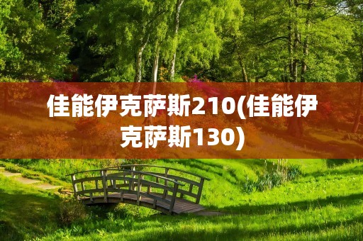 佳能伊克萨斯210(佳能伊克萨斯130)