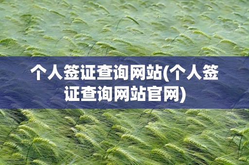 个人签证查询网站(个人签证查询网站官网)