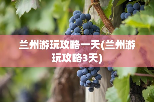 兰州游玩攻略一天(兰州游玩攻略3天)