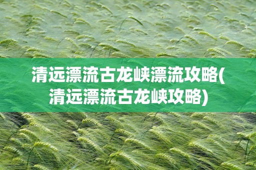 清远漂流古龙峡漂流攻略(清远漂流古龙峡攻略)